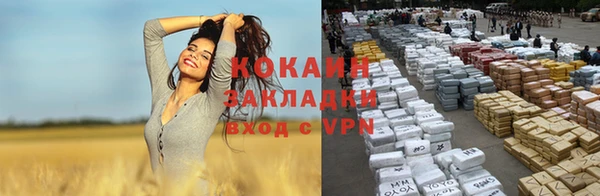 apvp Вяземский
