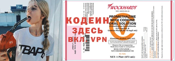 apvp Вяземский