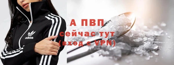 apvp Вяземский
