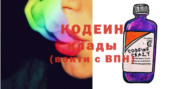 apvp Вяземский