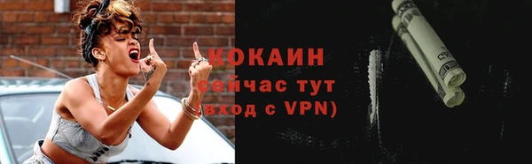 apvp Вяземский