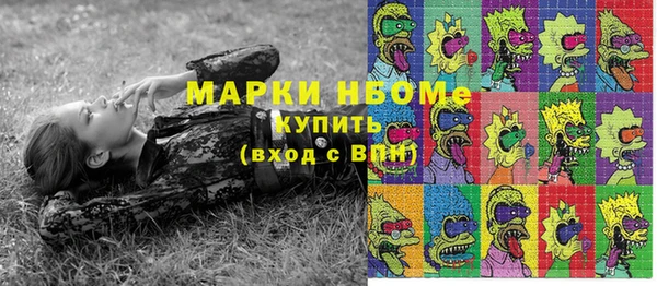apvp Вяземский