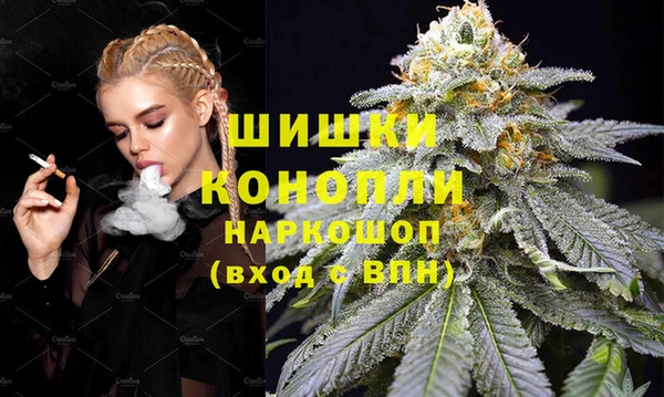 apvp Вяземский