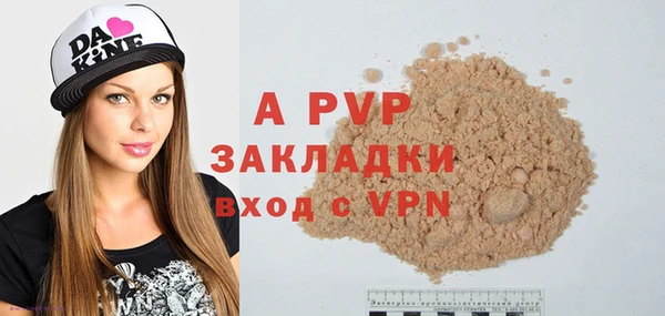 apvp Вяземский