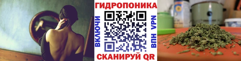 Бошки Шишки план  Пересвет 